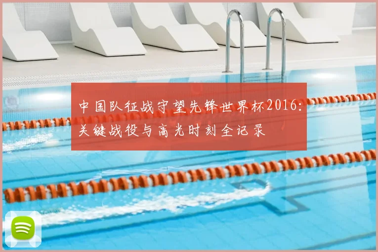 中国队征战守望先锋世界杯2016：关键战役与高光时刻全记录