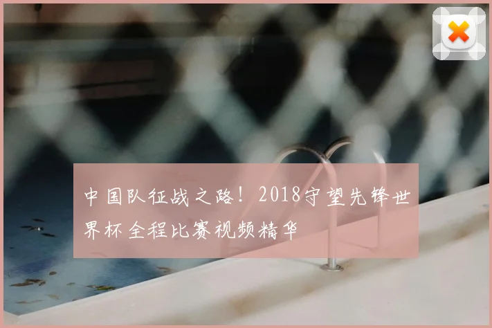 中国队征战之路！2018守望先锋世界杯全程比赛视频精华