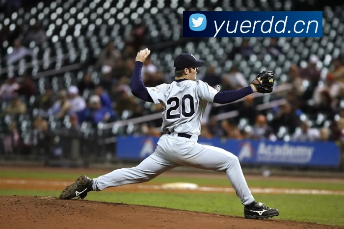 App Interface Preview