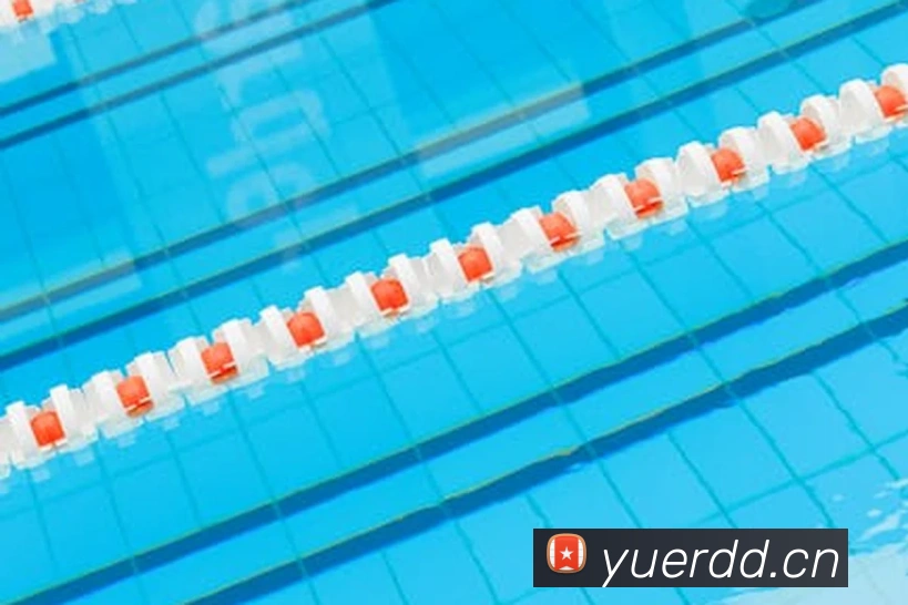 kiayun官网APP 封面图